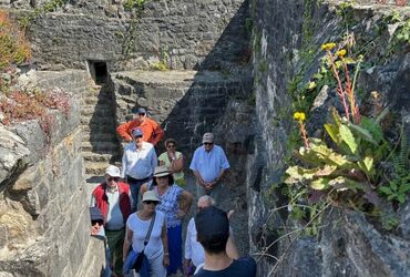 VENEZ DECOUVRIR UN VIGNOBLE, UN CHATEAU AVEC UN DEJEUNER !